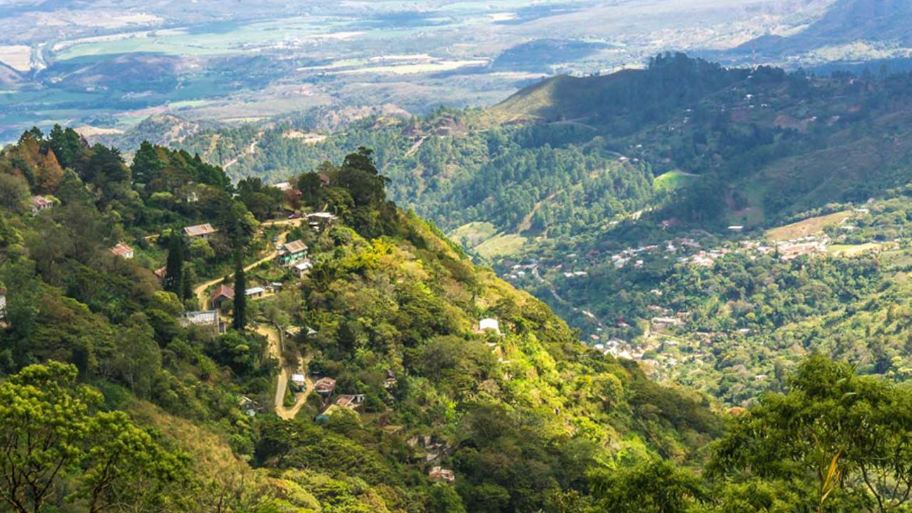 vista del parque nacional La Tigra