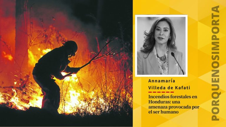 Imagen Principal de Nota: Incendios forestales en Honduras: una amenaza provocada por el ser humano