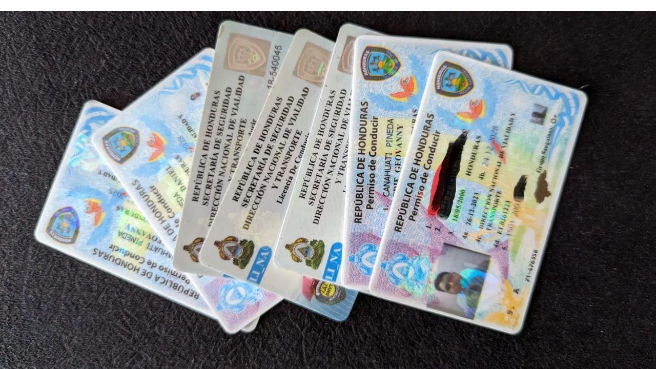 Imagen Principal de Nota: Tipos de licencia de conducir en Honduras: conoce cuál necesitas