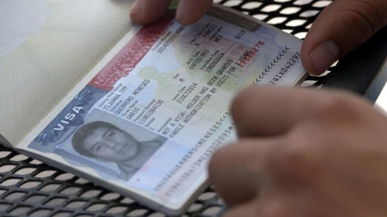 persona mostrando visa