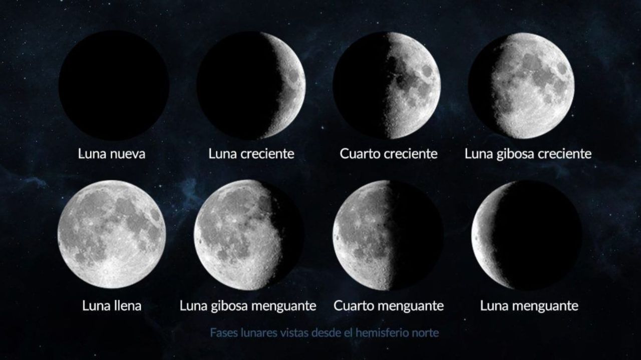 fases de la luina
