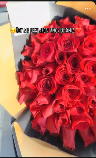 Rosas Rojas