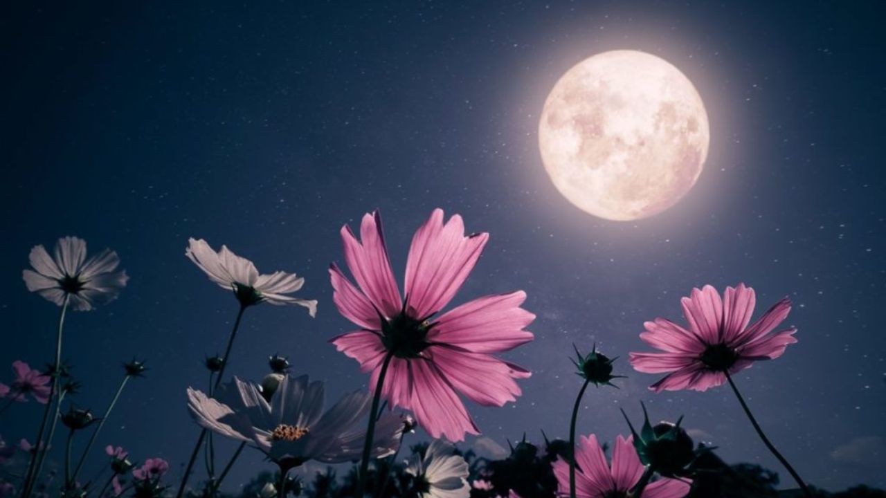 Imagen Principal de Nota: Calendario Lunar de mayo 2025: fases de la luna este mes
