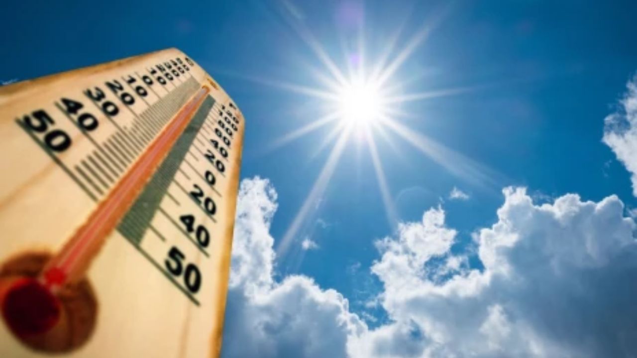 Imagen Principal de Nota: ¿Qué hacer durante ola de calor? Neumólogo brinda estas recomendaciones
