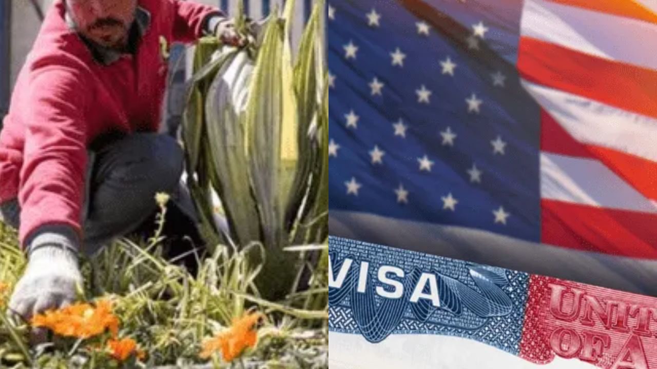 Imagen Principal de Nota: ¿Se puede trabajar en Estados Unidos  con visa de turista? Esto dice una experta