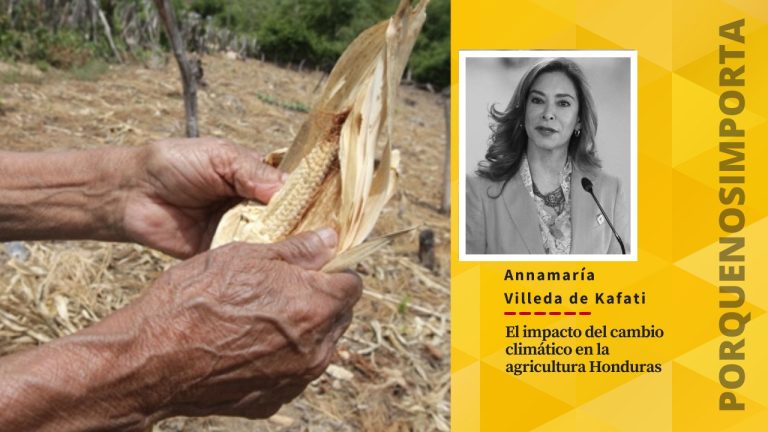 Imagen de Nota: El impacto del cambio climático en la agricultura Honduras