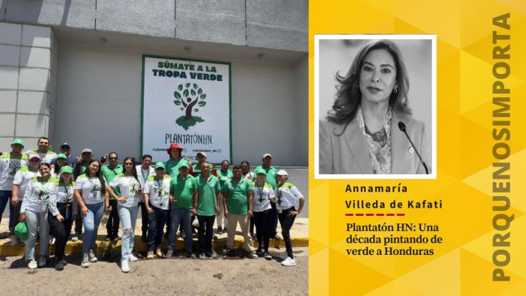 Imagen Principal de Nota: Plantatón HN: Una década pintando de verde a Honduras