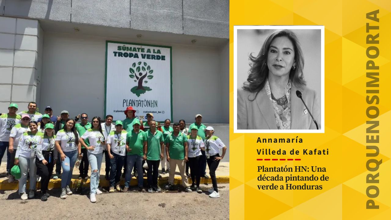 Imagen Principal de Nota: Plantatón HN: Una década pintando de verde a Honduras