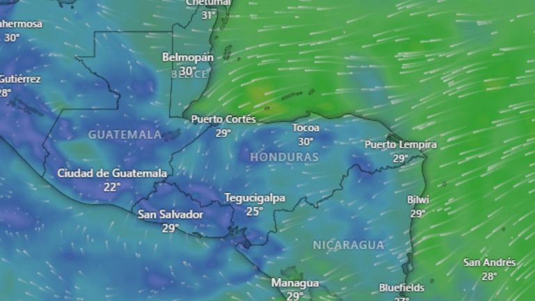 Imagen Principal de Nota: Tormentas Barry y Flossie activan alertas: ¿afectarán a Honduras?
