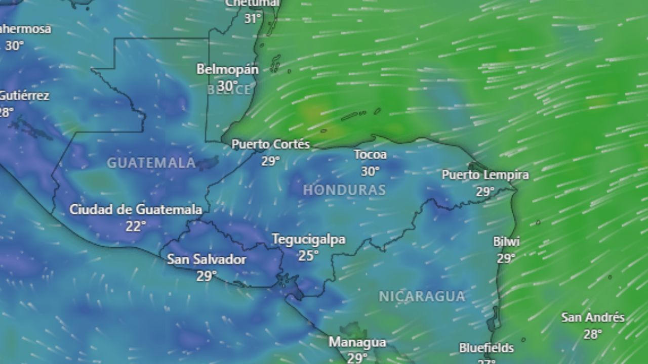 Tormentas Barry y Flossie activan alertas: ¿afectarán a Honduras?