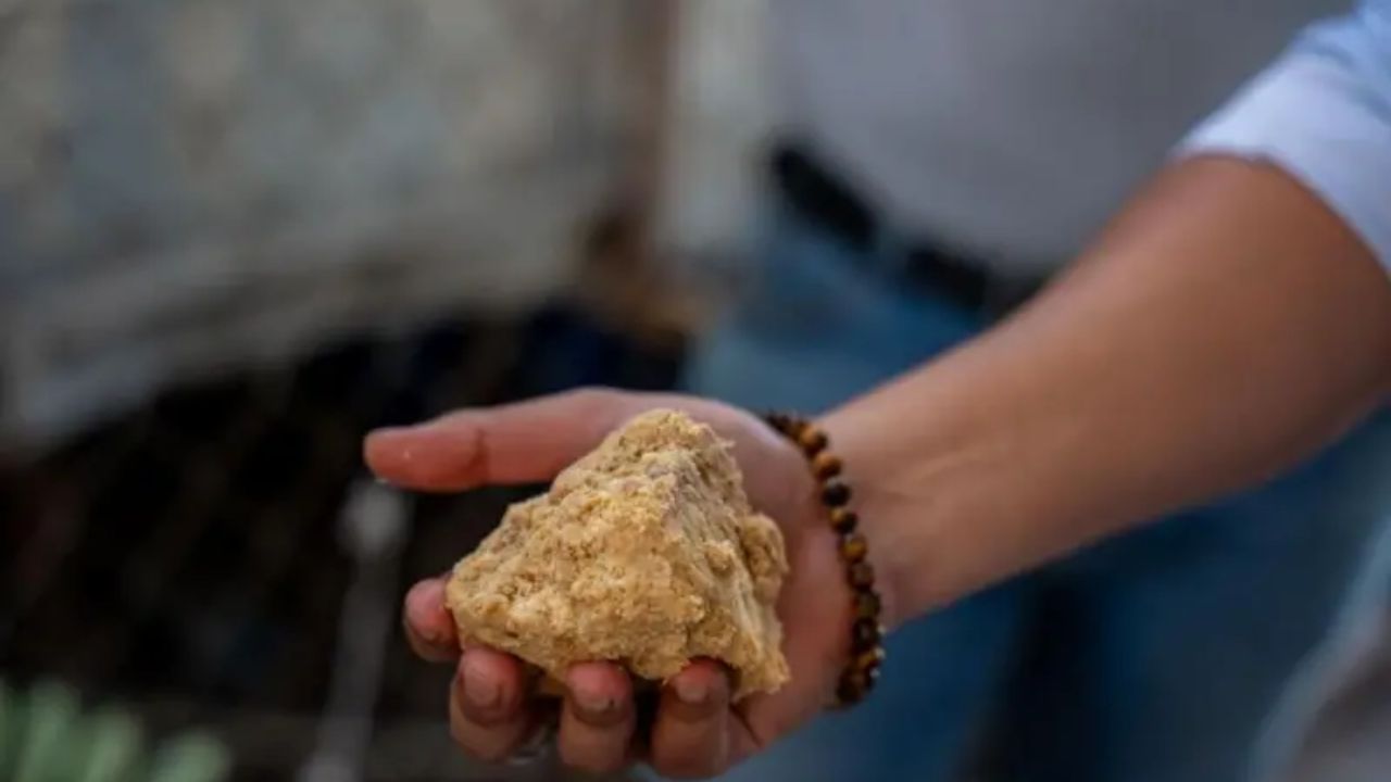 emprendimiento sustenta Honduras