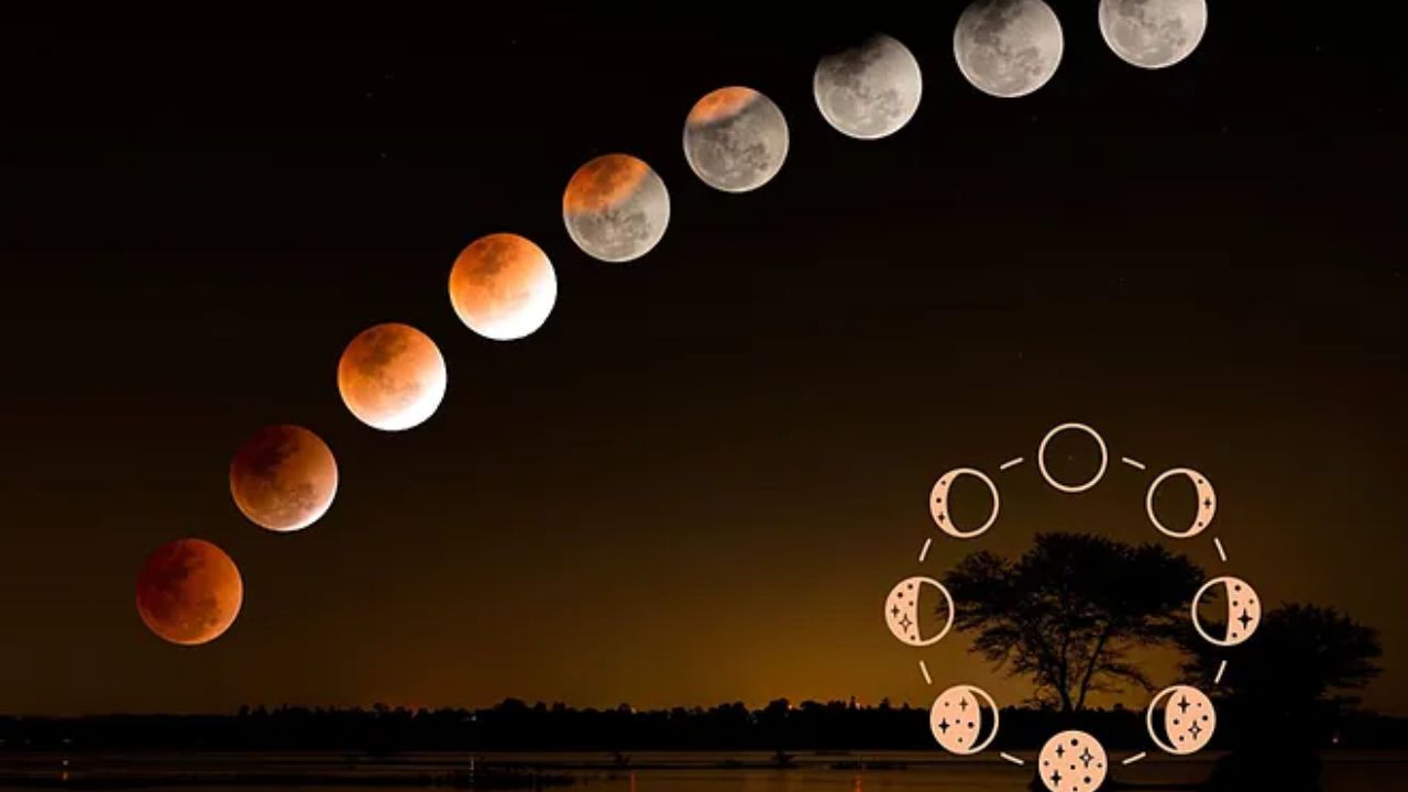 Fases de la luna 