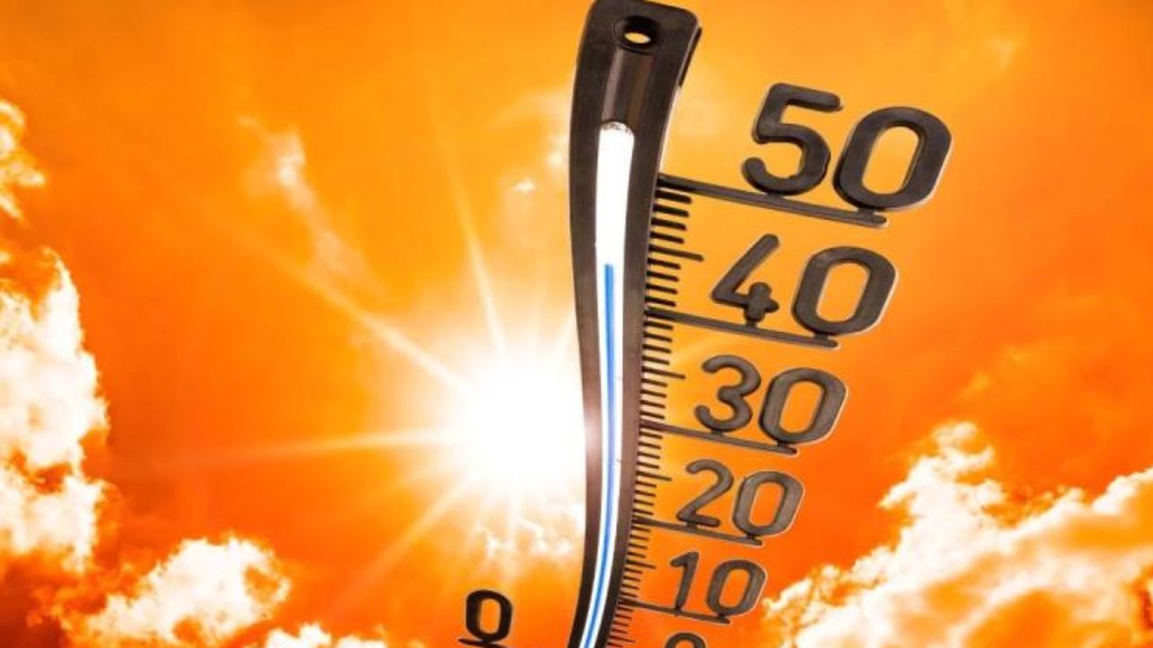 Imagen de Temperaturas hasta de 38 grados y polvo del Sahara afectarán estas regiones de Honduras