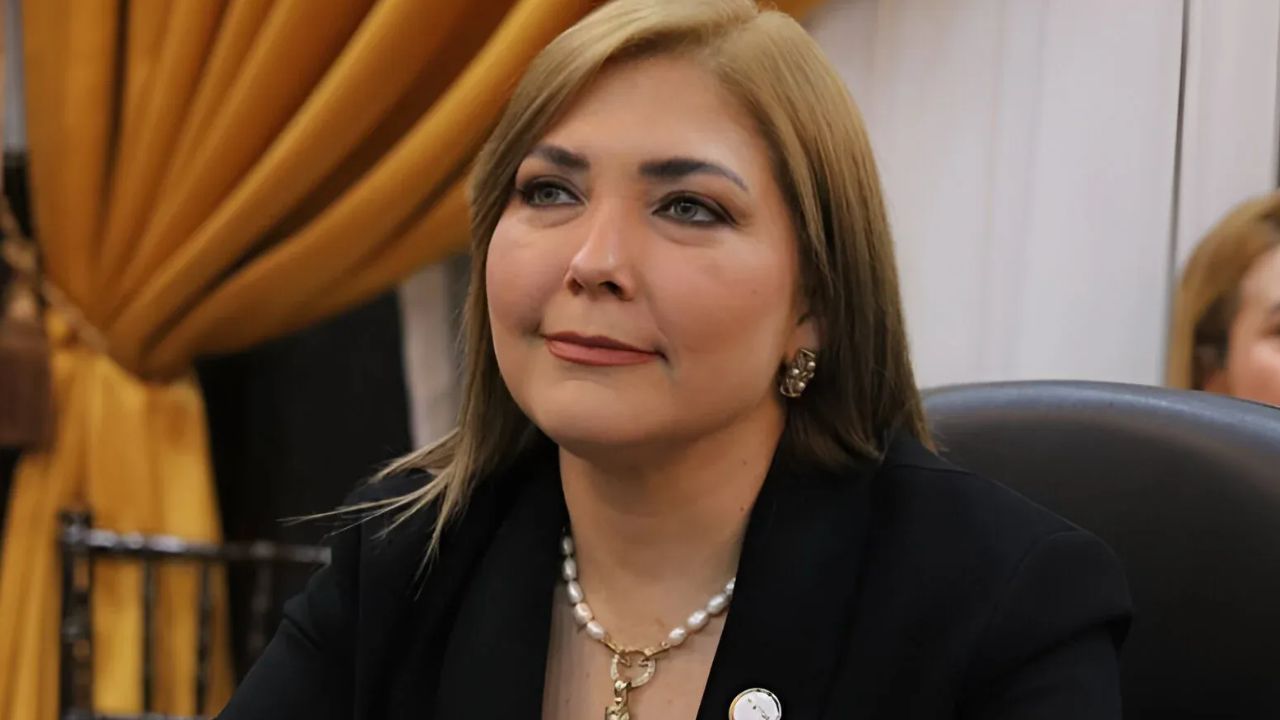 Imagen de Ana Paola Hall interpone renuncia ante la secretaria del  CN