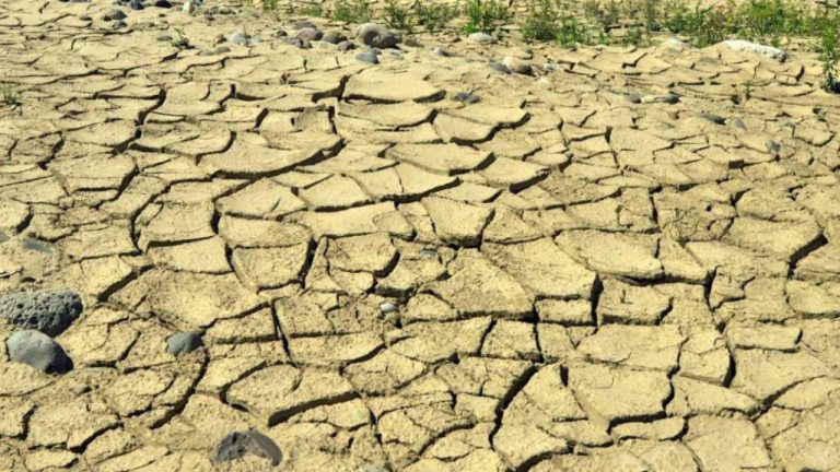 Imagen Principal de Nota: Copeco anuncia inicio de la canícula en Honduras: ¿inicia en julio?