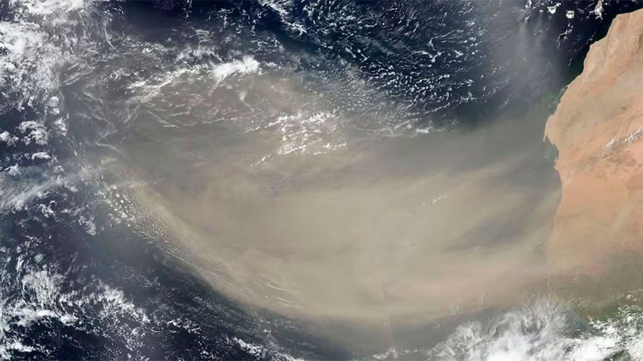 Alerta en Honduras por ingreso masivo de polvo del Sahara: esto recomiendan los expertos