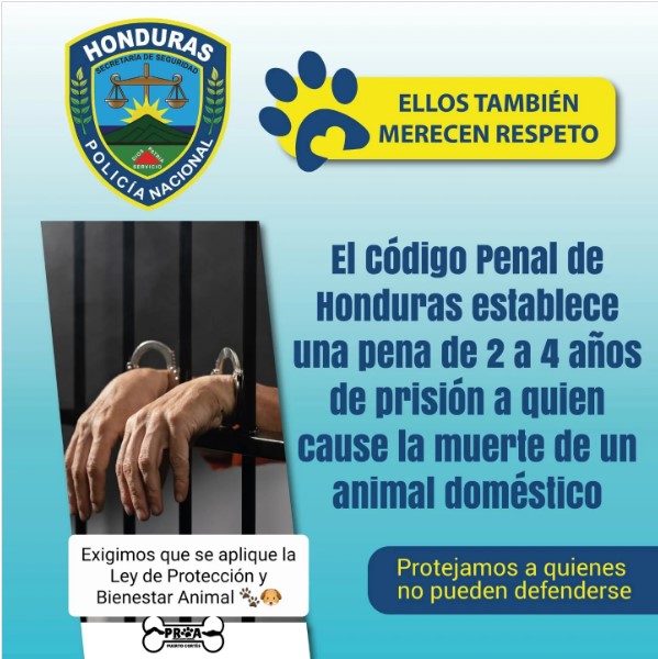 Ley de Bienestar Animal: Trato cruel, abandono y venta ilegal de animales en Honduras