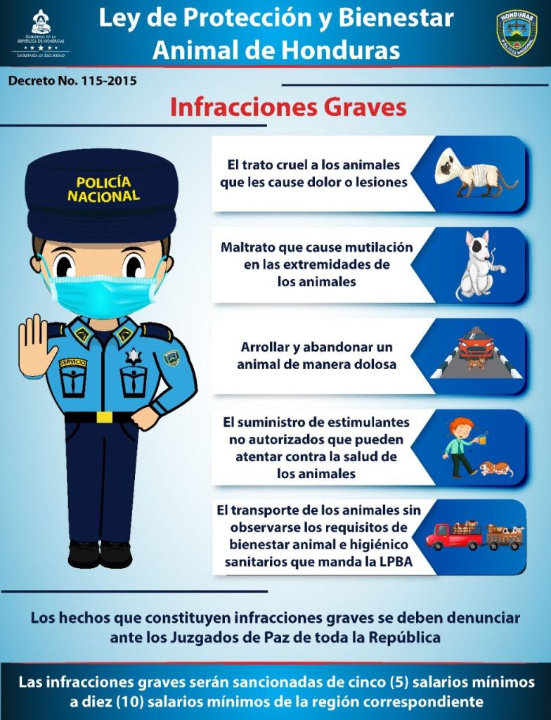 Ley de Bienestar Animal: Trato cruel, abandono y venta ilegal de animales en Honduras