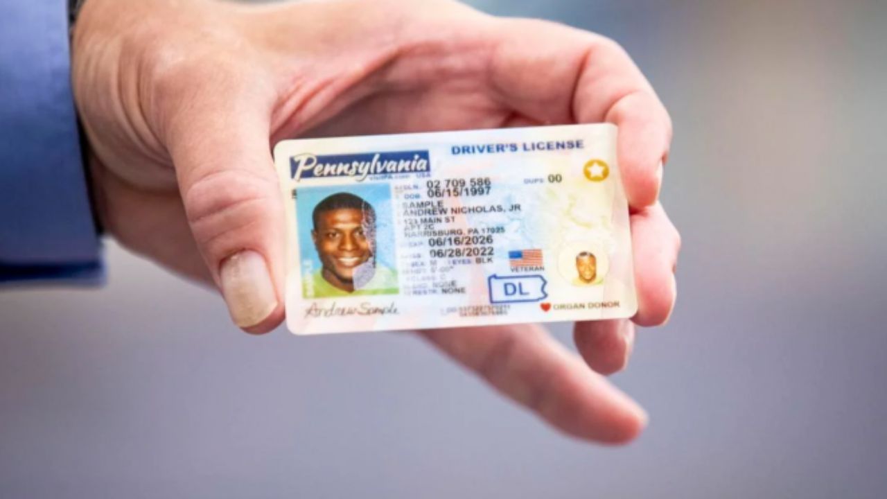 licencia de conducir
