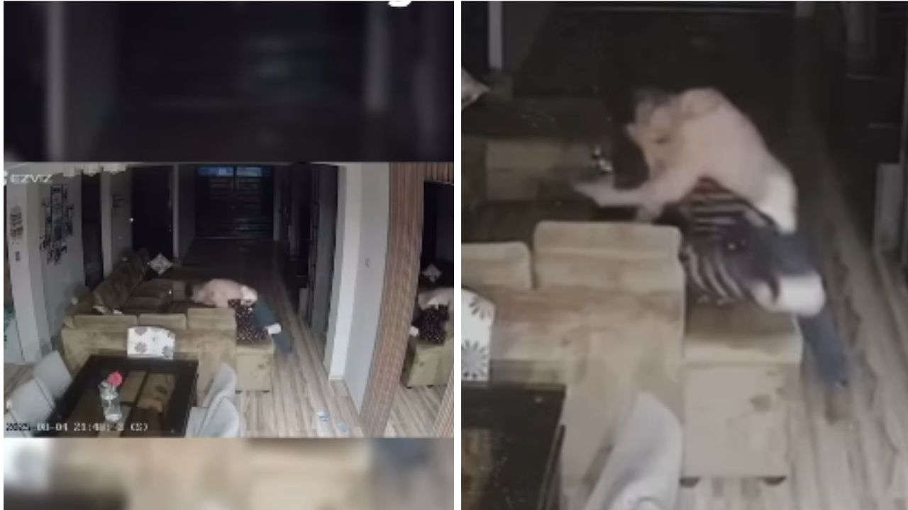 Alcalde detenido por agredir a su pareja, ¿Hay video?