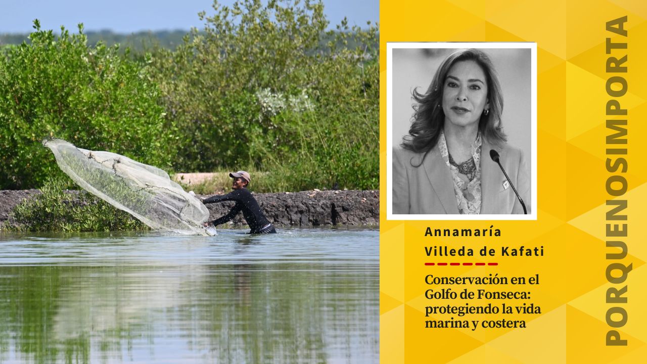 Imagen de Conservación en el Golfo de Fonseca: Protegiendo la vida marina y costera