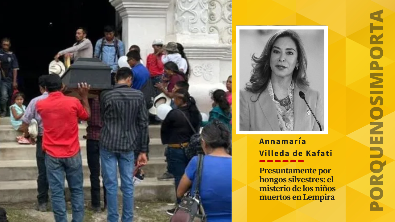 Presuntamente por hongos silvestres: el misterio de los niños muertos en Lempira
