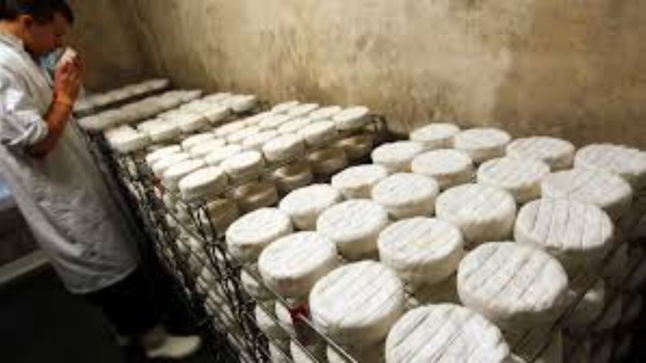 Retiran del mercado reconocida marca de queso por riesgo de bacteria mortal