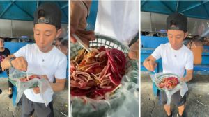 Imagen de Shin Fujiyama descubre el pollo chuco más barato en San Pedro Sula