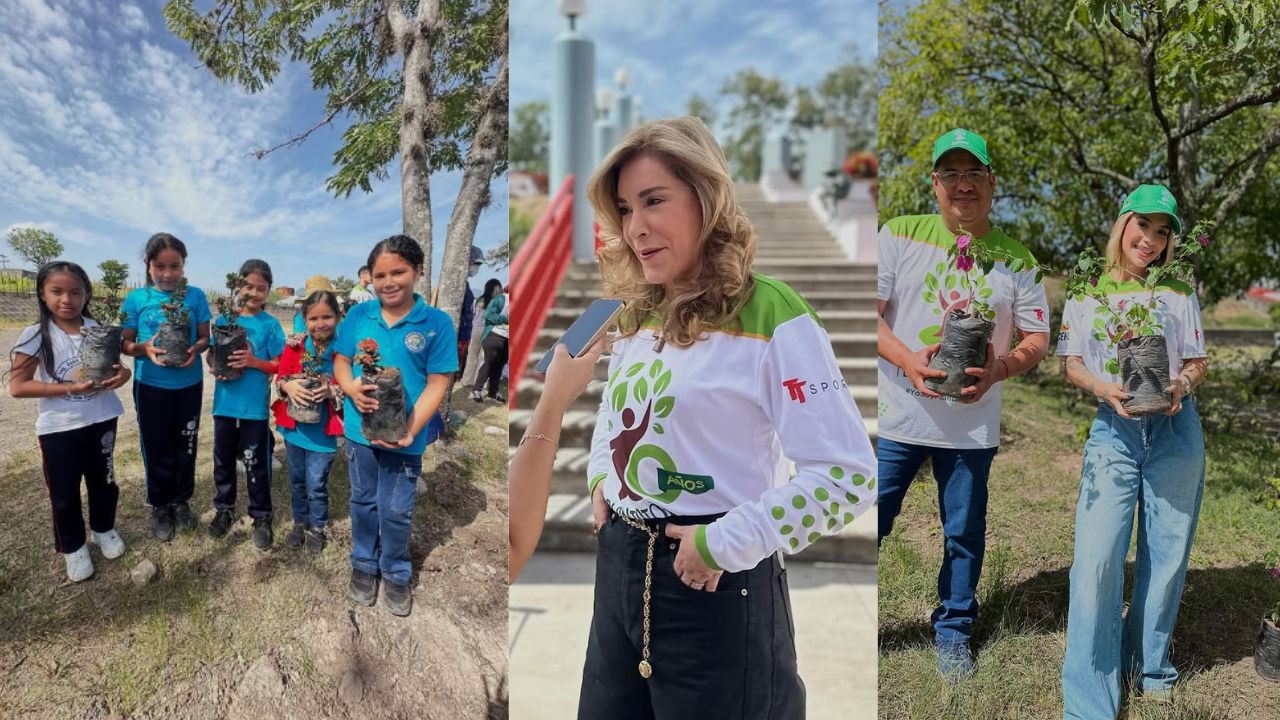 TVC y Tunota realizan el lanzamiento de 'Un libro, un árbol, un niño' cuarta edición