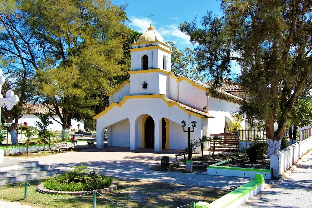 ojojona 