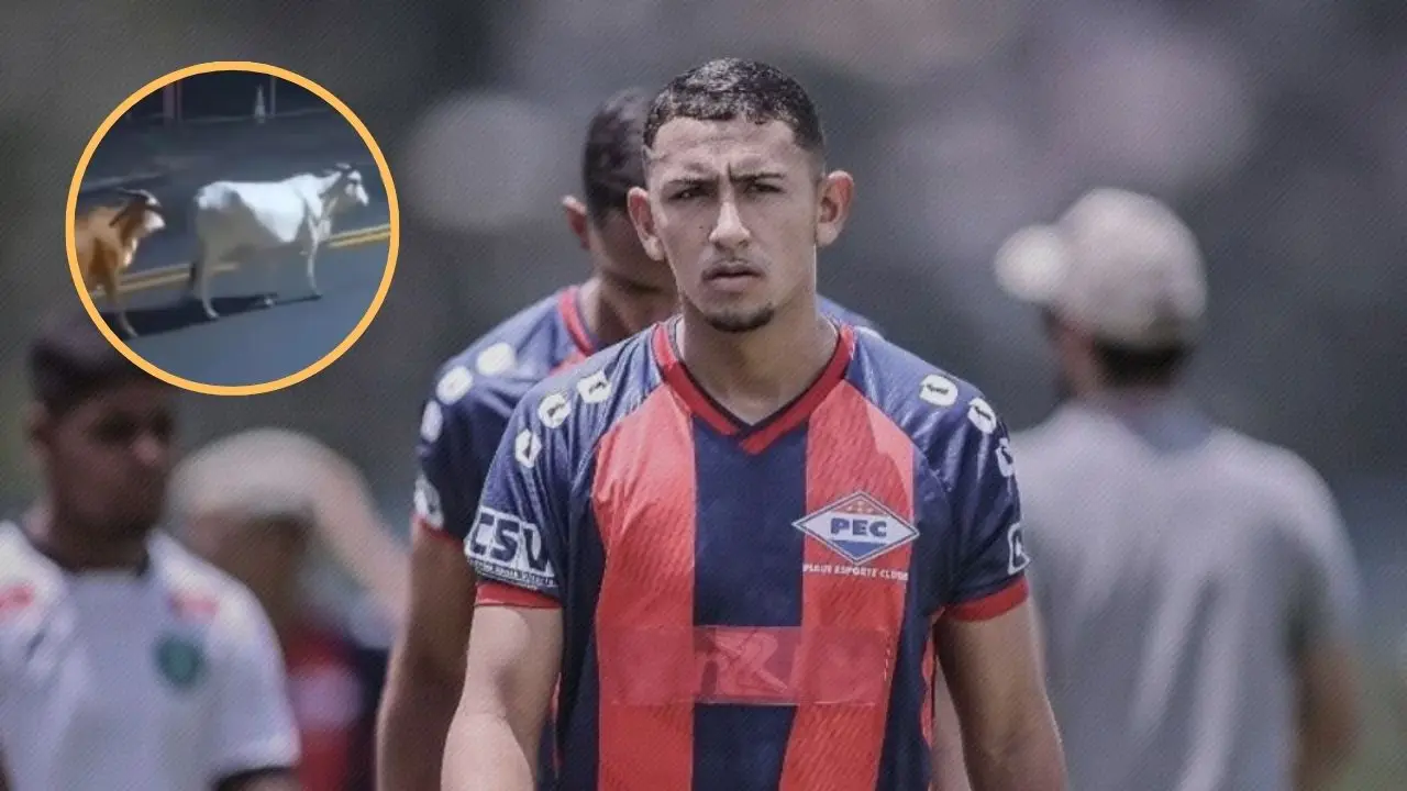 Futbolista muere tras chocar su motocicleta contra vacas