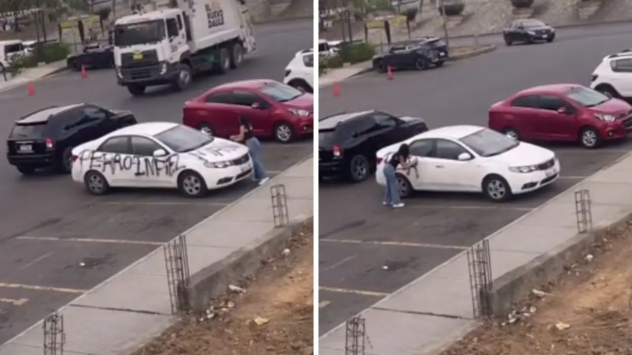 Imagen Principal de Nota: “Perro infiel”: mensaje que una mujer dejó en el carro de su ex