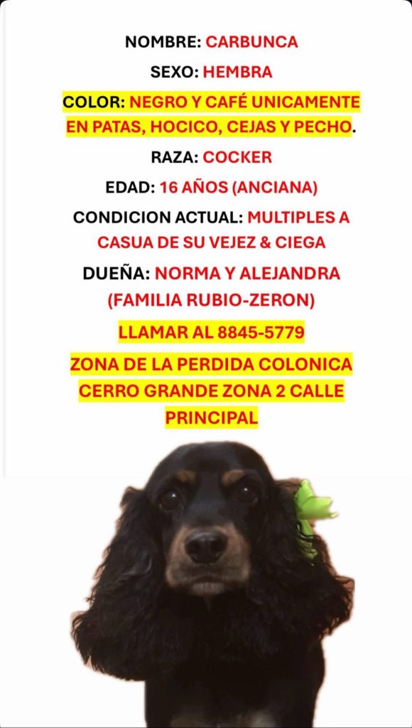 Afiche de búsqueda de Carbunca 