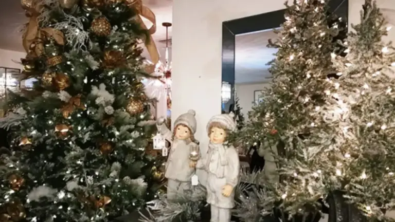 Imagen Principal de Nota: ¿Cuándo colocar el árbol de Navidad para empezar 2026 con buena fortuna?