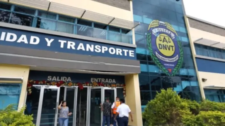 Imagen Principal de Nota: DNVT suspenderá atención al público la próxima semana por elecciones