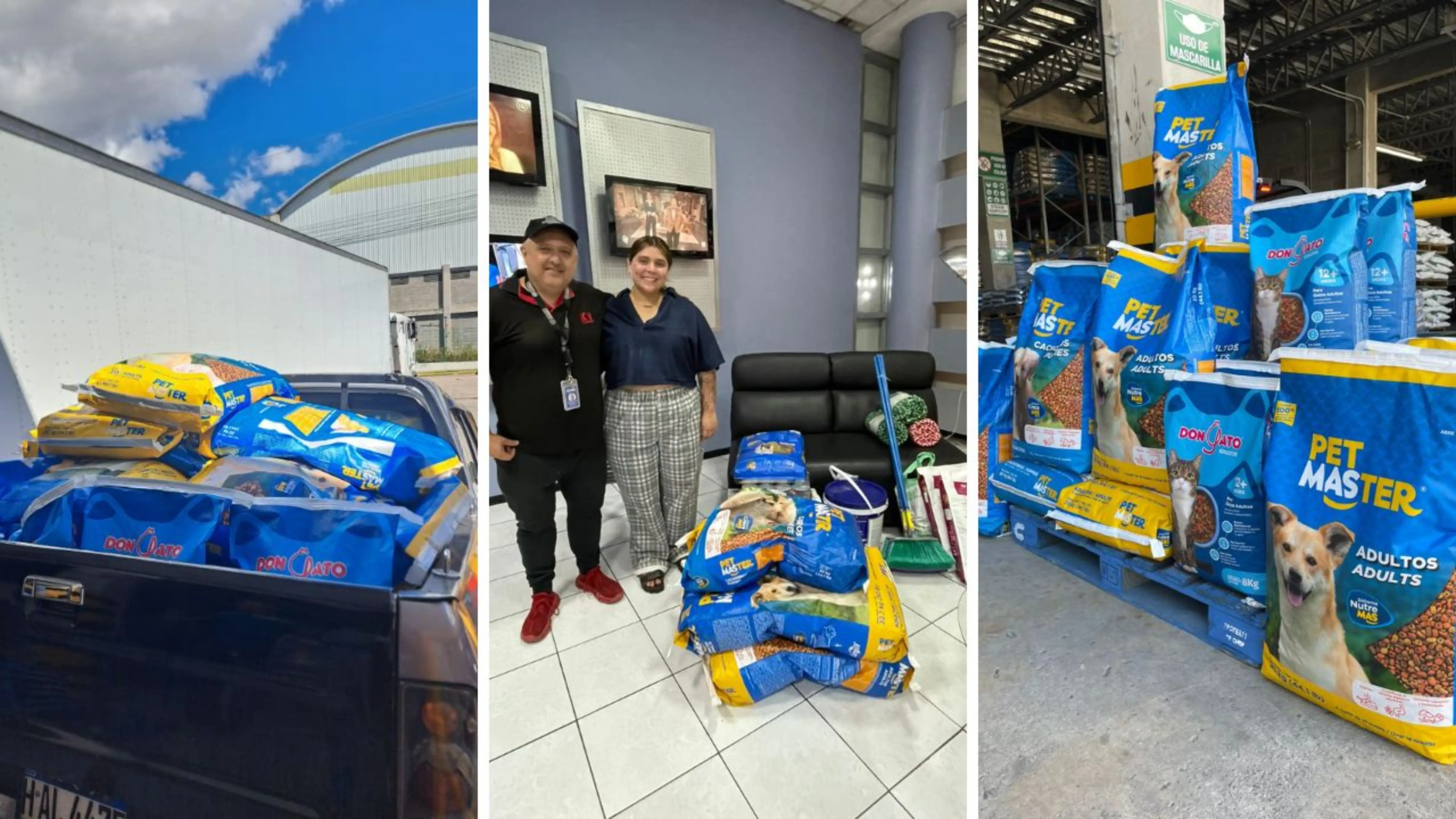 Imagen de Misión Navidar: una iniciativa para apoyar a los peluditos esta Navidad