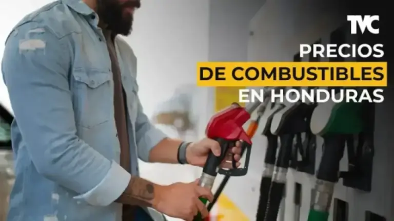 Imagen Principal de Nota: Precios de los combustibles a partir del lunes 17 de noviembre