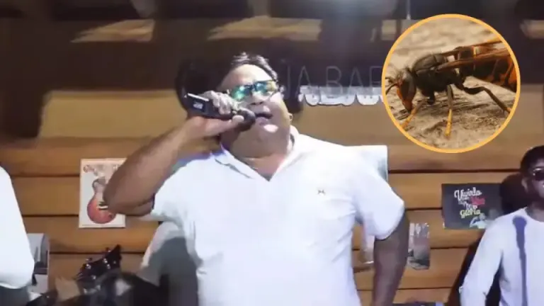 Imagen de Nota: Reconocido cantante de cumbia pierde la vida tras ser picado por una avispa