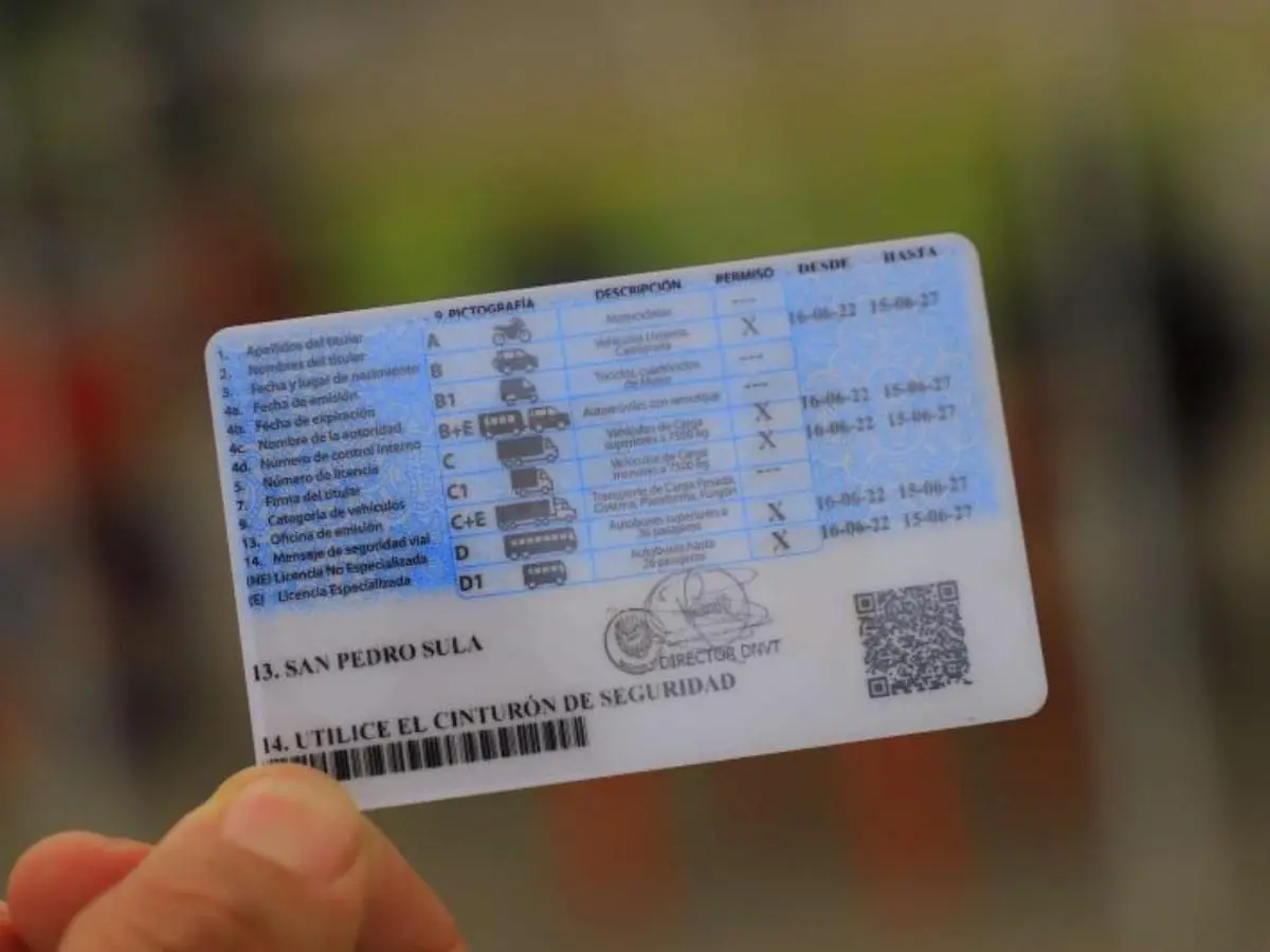 Recuperar licencia de conducir