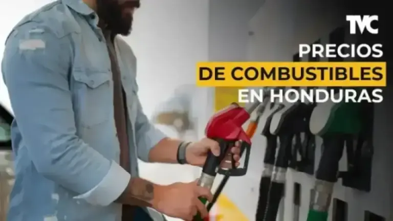 Imagen Principal de Nota: Estos son los nuevos precios de los combustibles para fin de año
