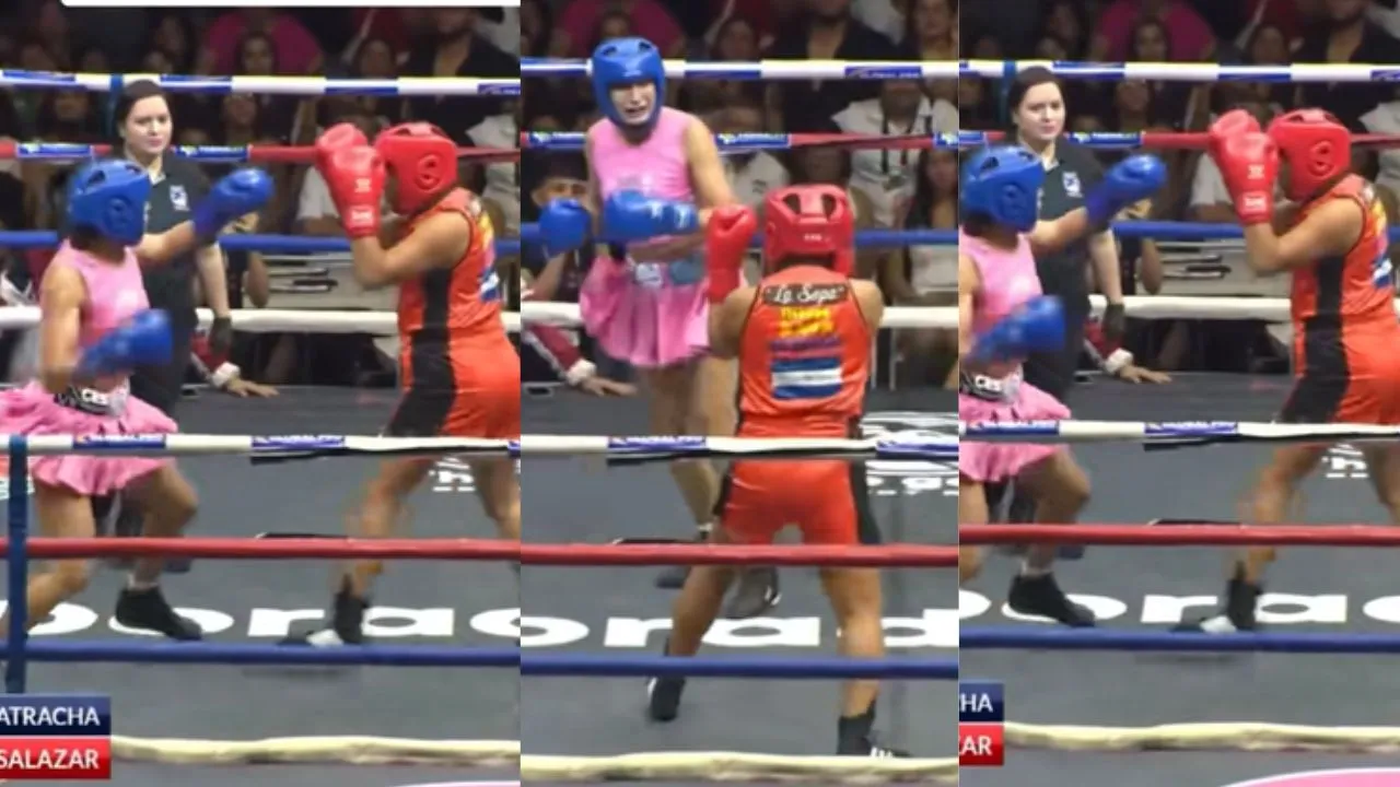 Imagen de La Bicha Catracha sorprende desde el ring  de boxeo ¿ganó la pelea?
