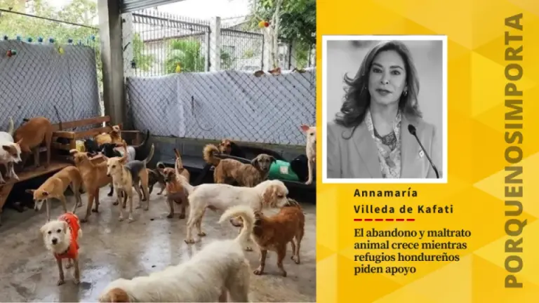 Imagen de Nota: El abandono y maltrato animal crece,  mientras refugios hondureños piden apoyo