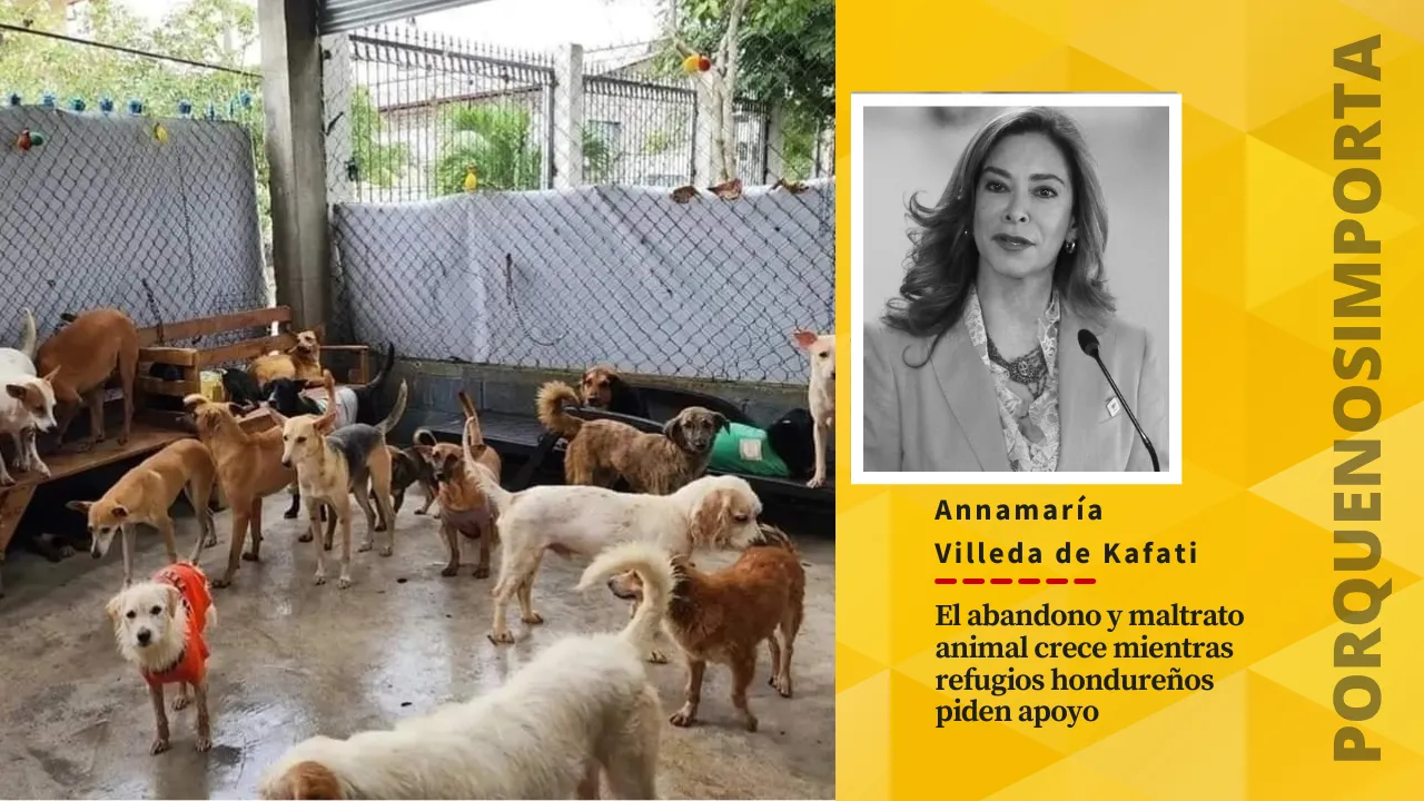 El abandono y maltrato animal crece,  mientras refugios hondureños piden apoyo