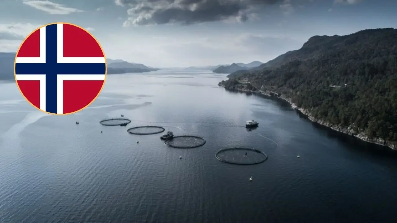 Imagen Principal de Nota: ¿Te gustaría trabajar en Noruega? Sueldos de 3 mil euros esperan a latinoamericanos