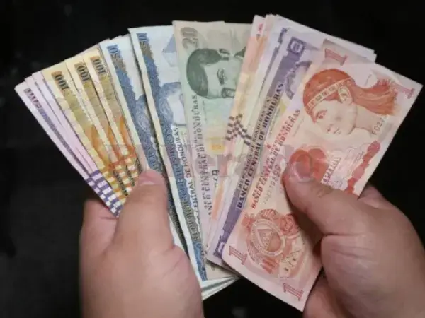 persona con dinero en mano 