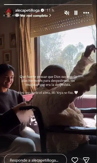 historia de instagram