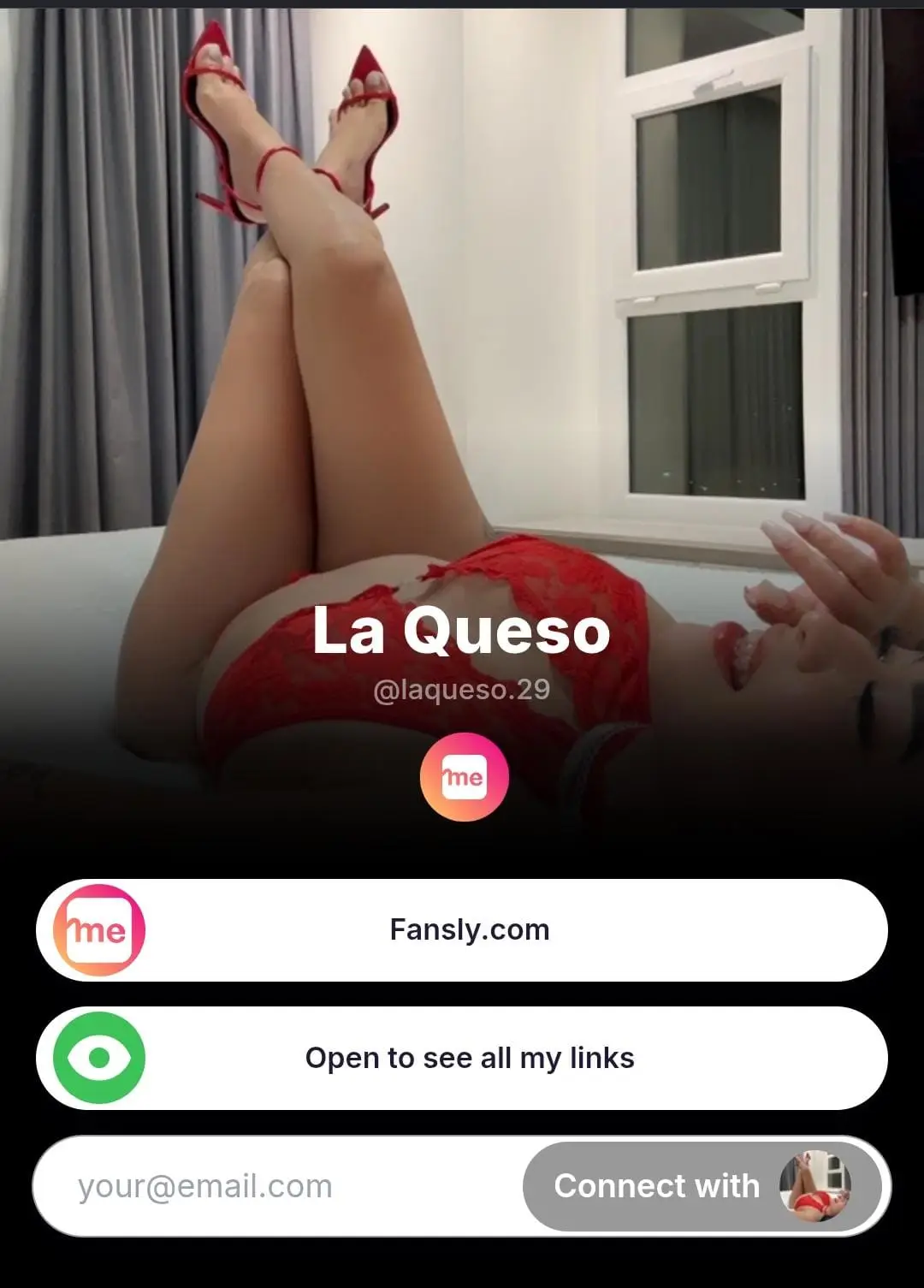 captura del perfil del contenido de la queso