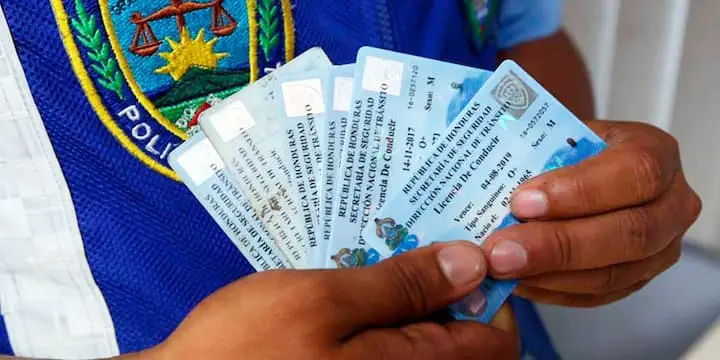 Licencias de conducir