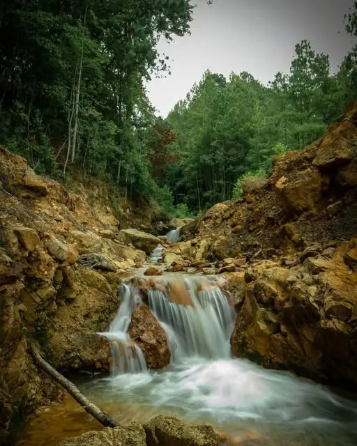 Paseo Las Golondrinas