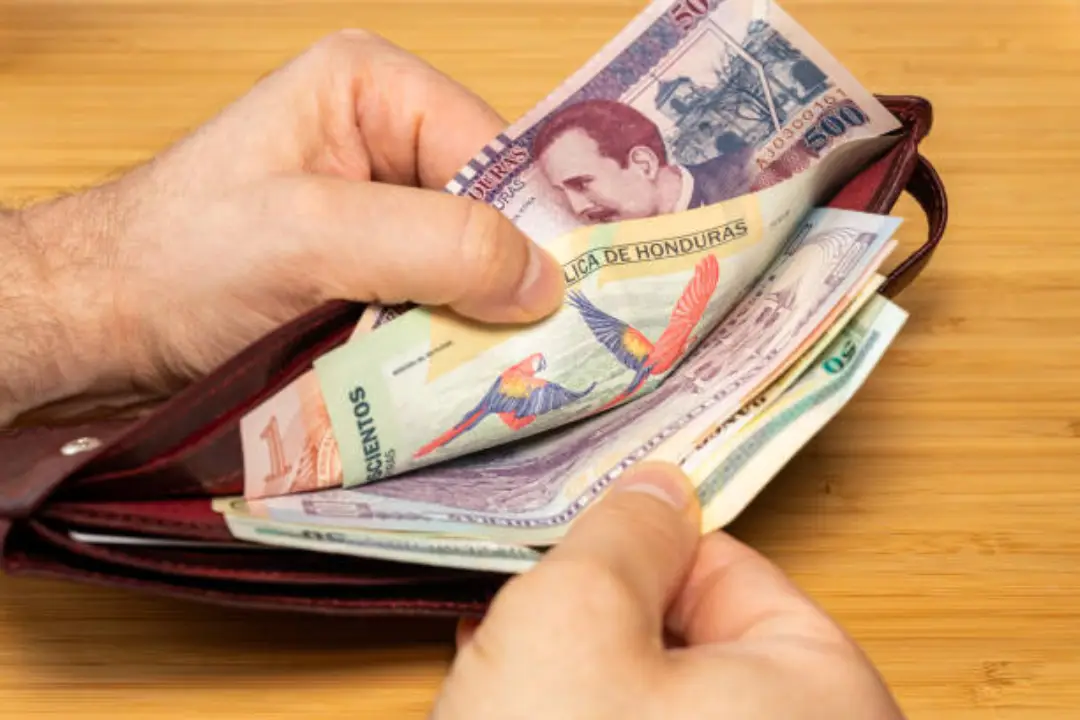 Imagen Principal de Nota: Tips para ahorrar este año nuevo, según la AHIBA